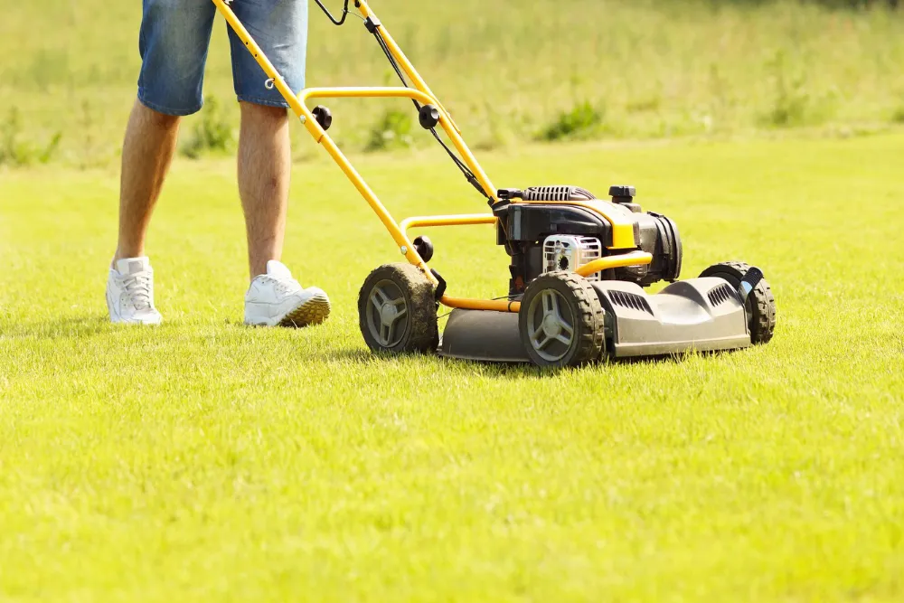 Lawn-Mower
