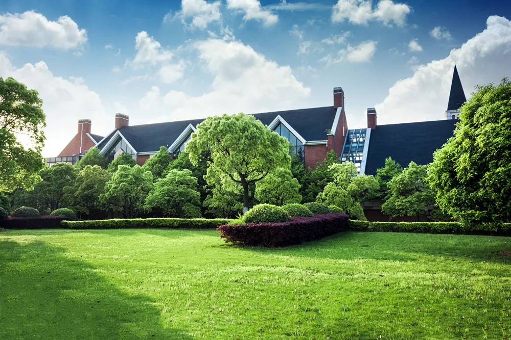 lawn core aeration service