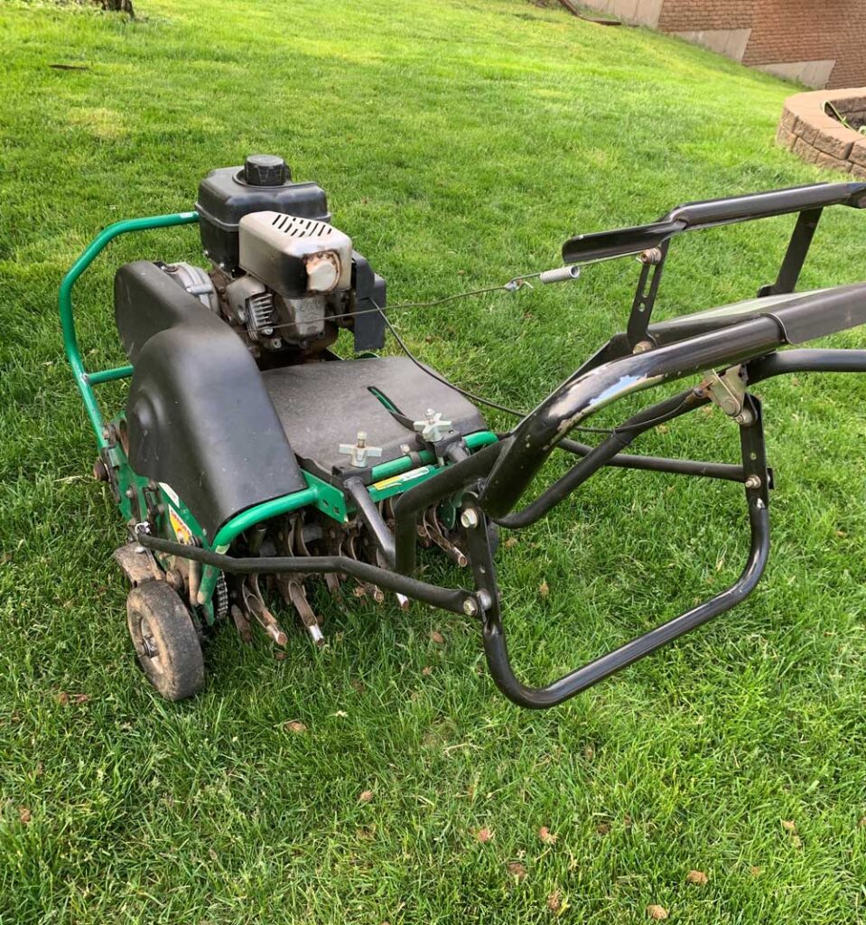 lawn dethatching service