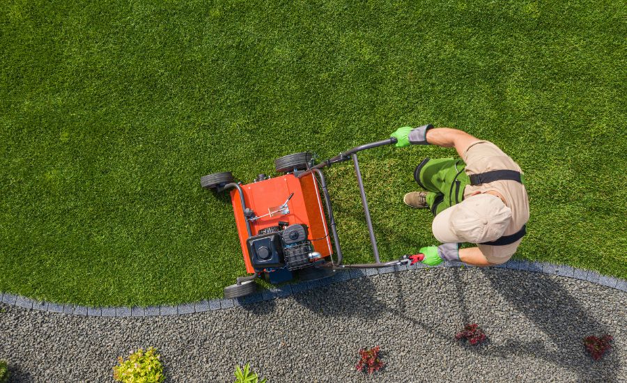 DIY vs. Professional Aeration Service - Aeration Buddy