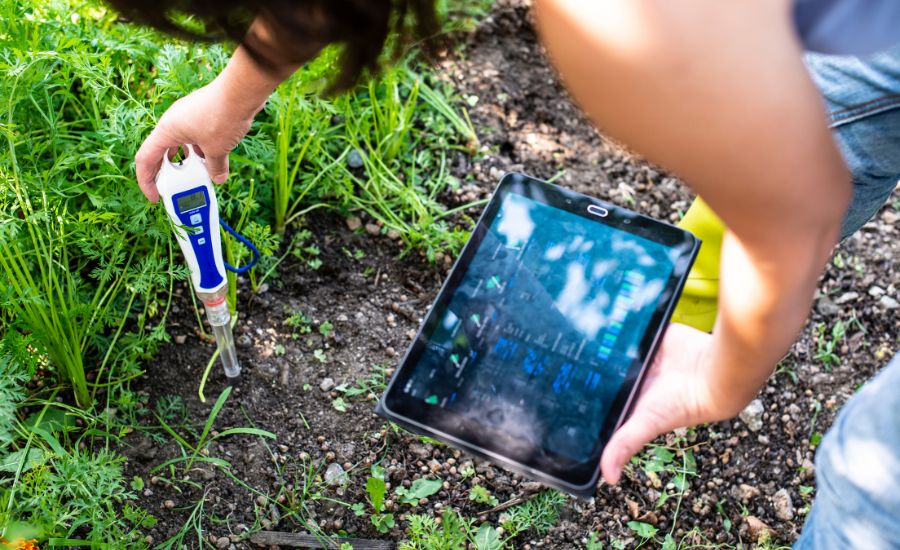 Lawn Low PH testing- Aeration Buddy