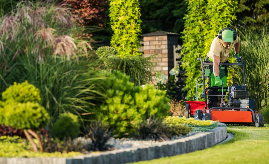 best time to aerate your lawn