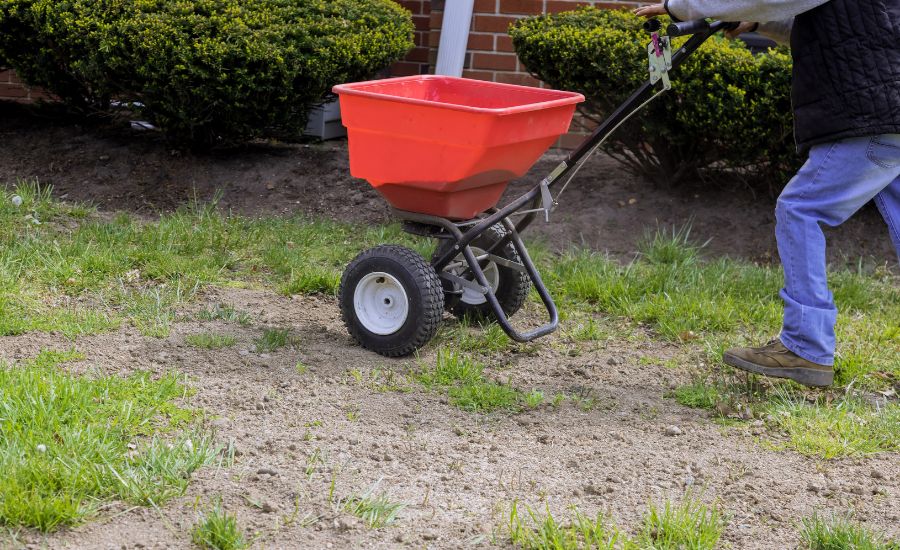 fertilizing and seeding lawn