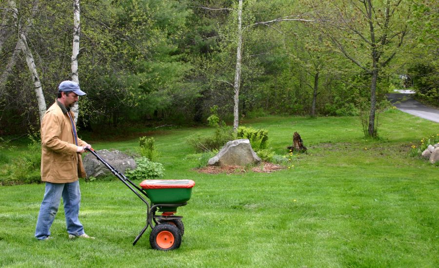 should i fertilize or seed first after aeration