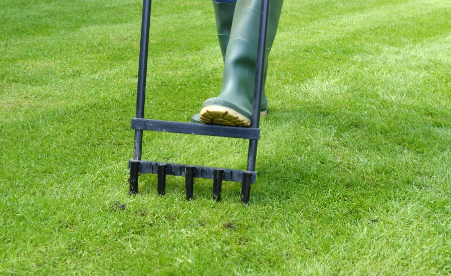 should you aerate your lawn