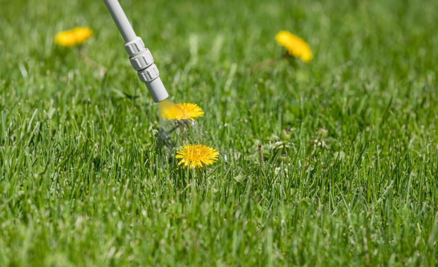 Aeration buddy - Herbicides spraying