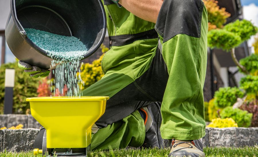Aeration Buddy - Granular Fertilizer