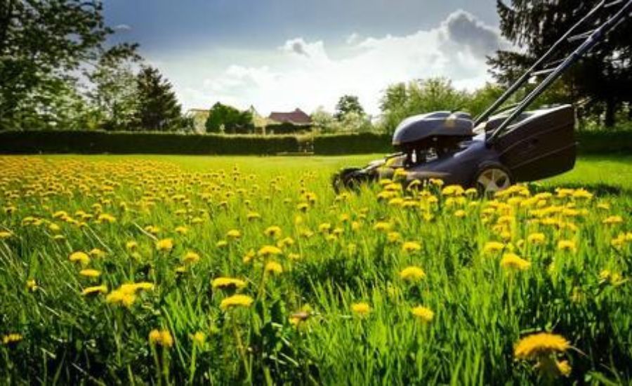 Aeration Buddy - Weed and Feed