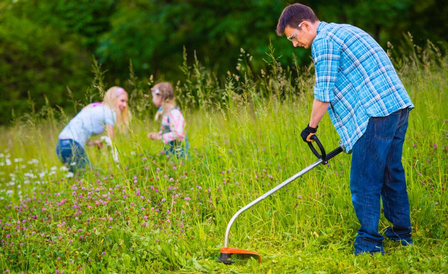 Aeration buddy - Weed removing