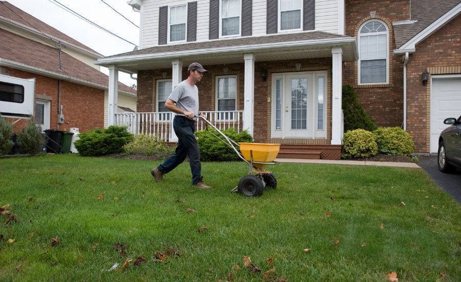 Aeration buddy - fall fertilizing lawn