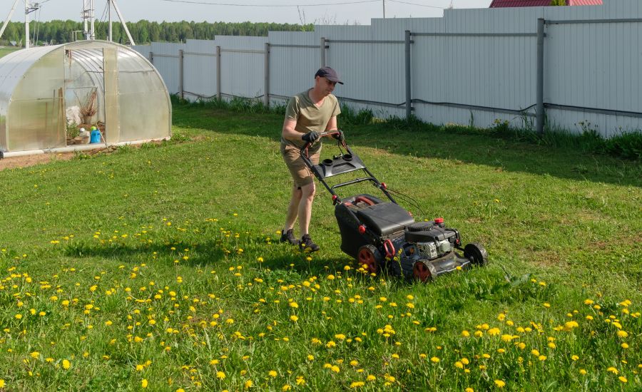Aeration Buddy - Aeration