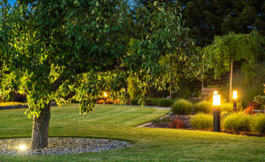 Aeration Buddy - Install Landscape Lighting