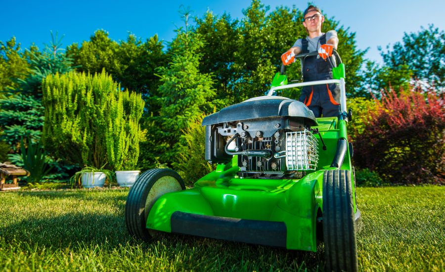 Aeration Buddy - landscaping increase home value