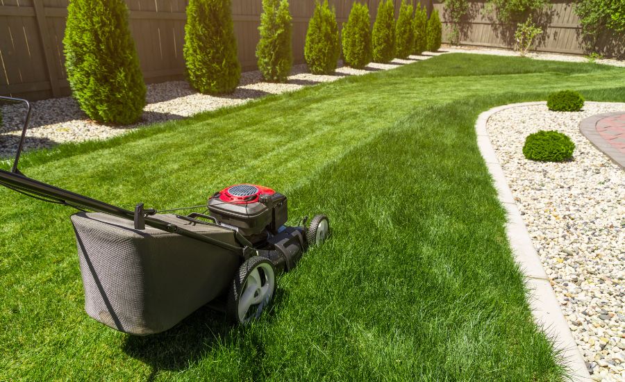 Lawn Care - Aeration Buddy