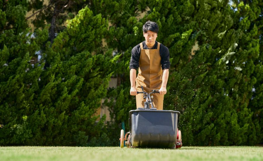 Regular aeration - Aeration Buddy