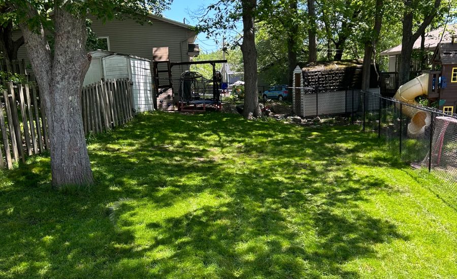 After Lawn Restoration - Aeration Buddy
