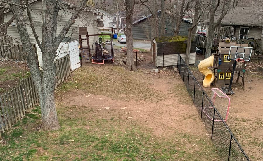 Before Lawn Restoration - Aeration Buddy