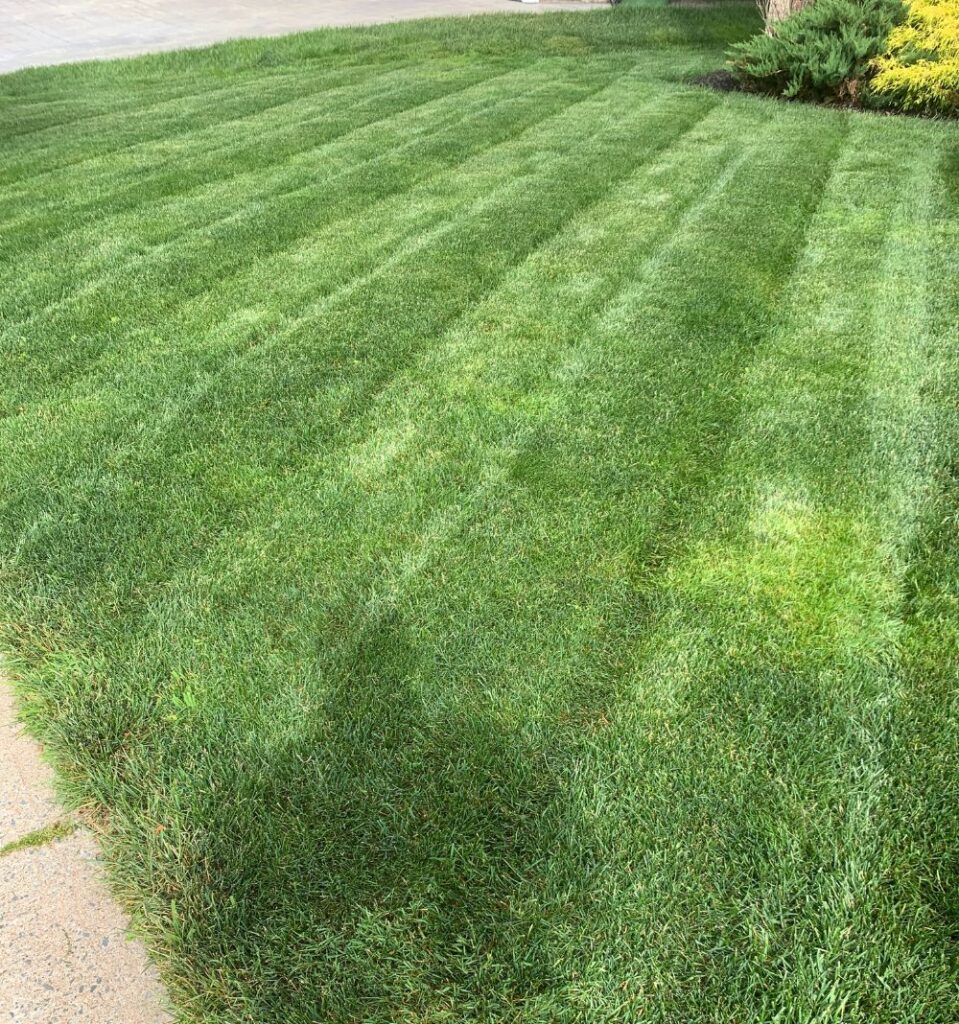 Lawn Mowing - Aeration Buddy