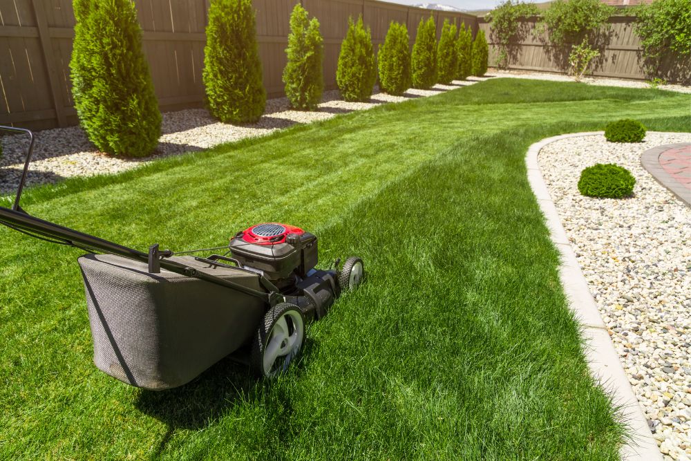 Lawn Mowing
