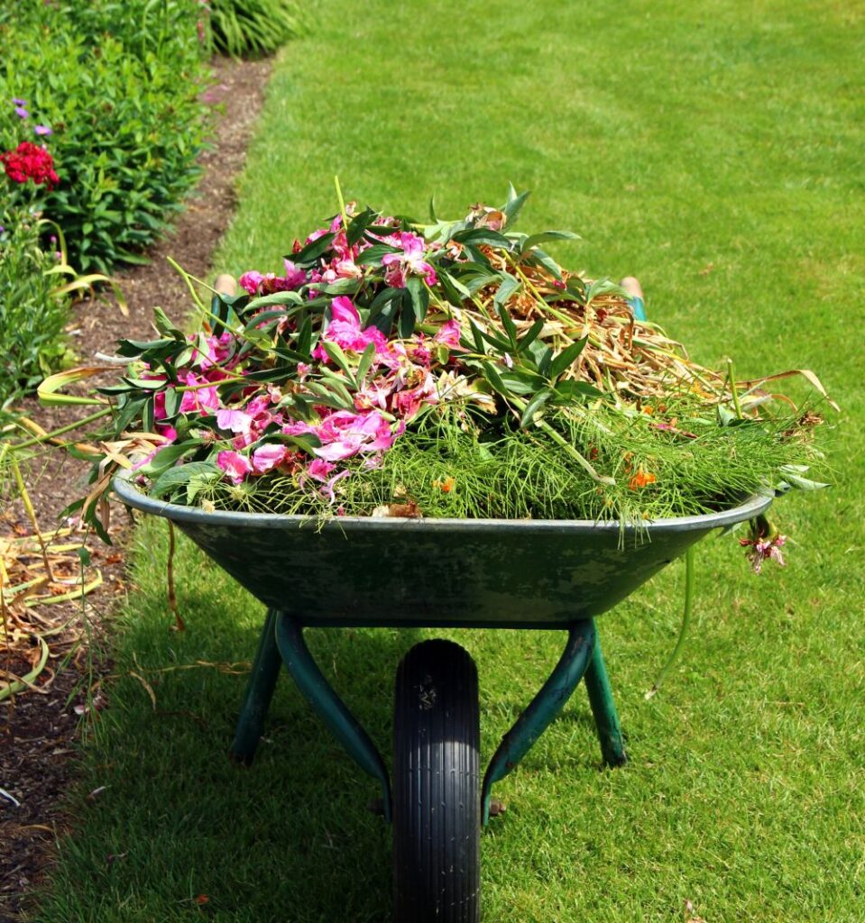 Lawn Seasonal Cleanup & Preparation