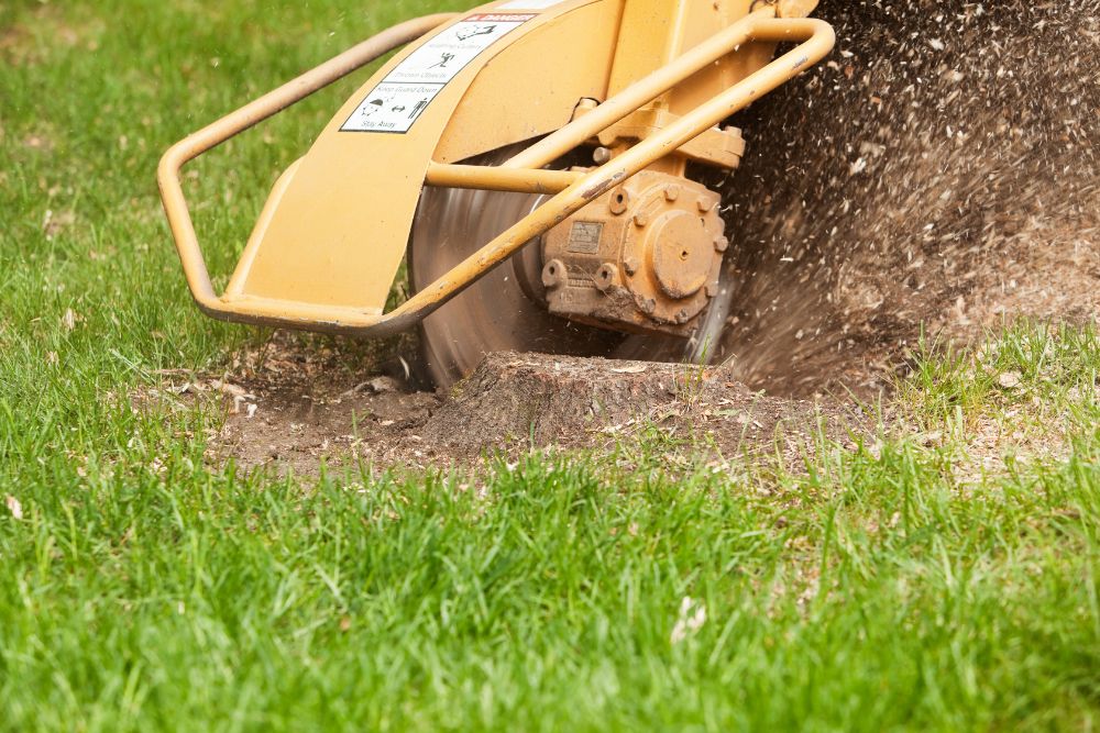 Lawn Stump Removal Machine