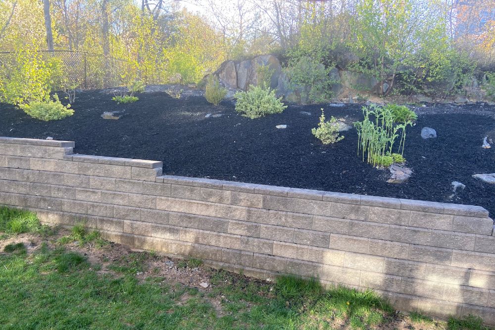 Mulch Lawn - Aeration Buddy