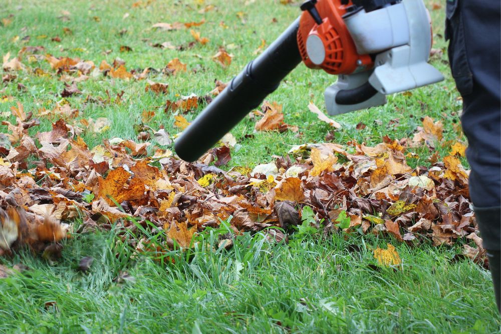 Seasonal Cleanup & Preparation to remove leaves, debris, and other clutter