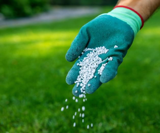 fertilization - Aeration Buddy