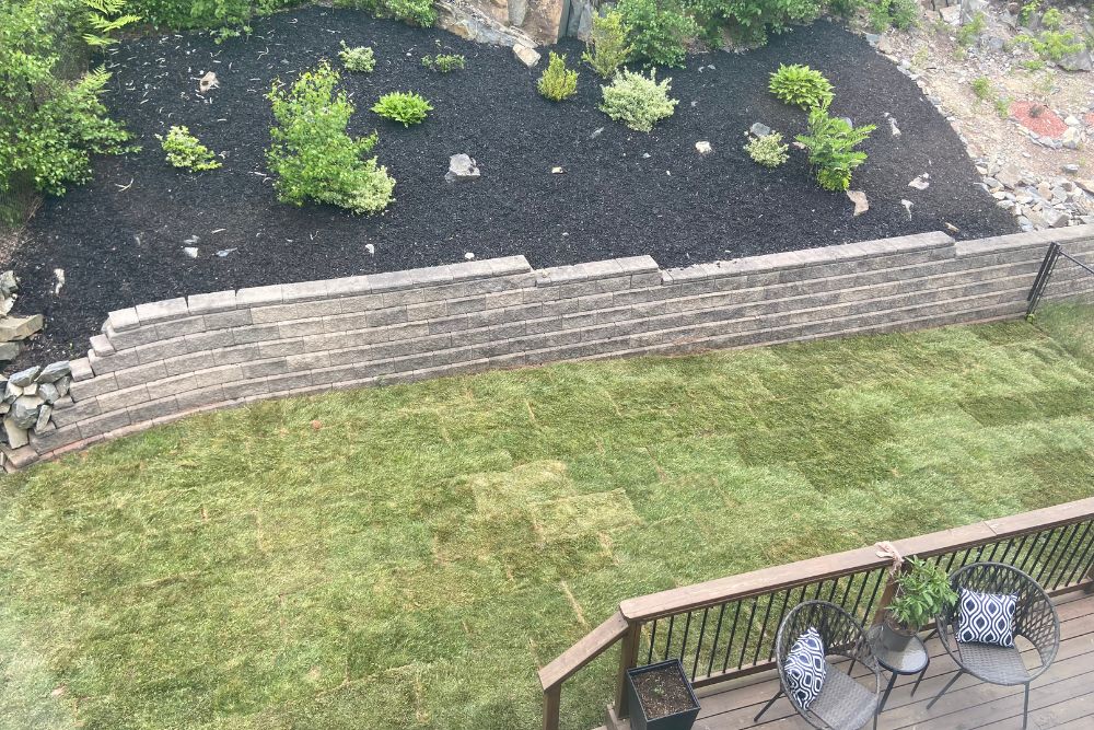 professional resodding - Aeration Buddy