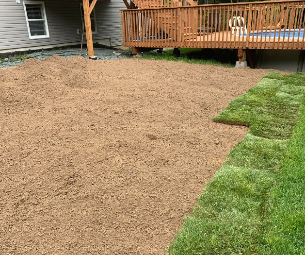 professional resodding services - Aeration Buddy